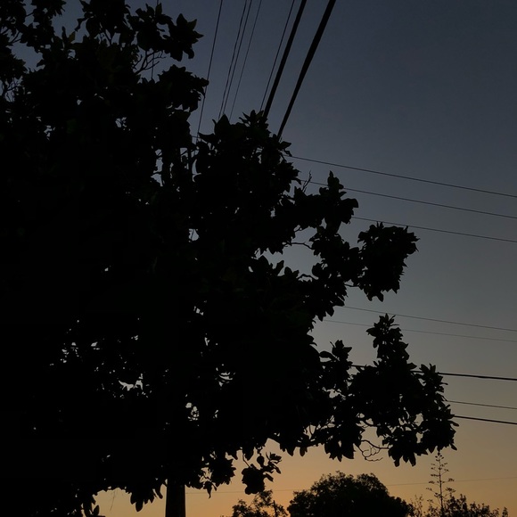 Meet your Posher, Miranda - Picture 1 of 1